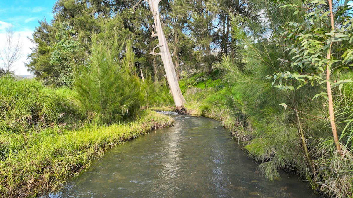 879 Duncans Creek Road, Tamworth, NSW, 2340 - Image 13