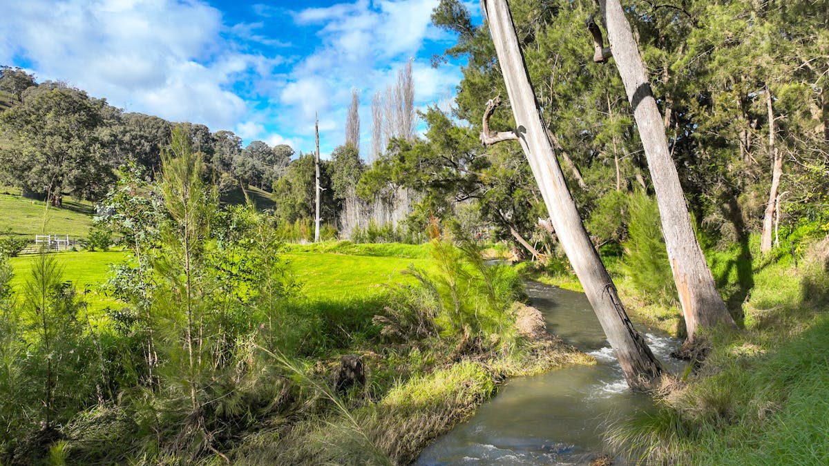 879 Duncans Creek Road, Tamworth, NSW, 2340 - Image 14