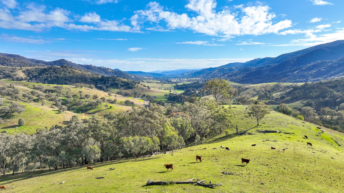 879 Duncans Creek Road, Tamworth, NSW, 2340 - Image 16