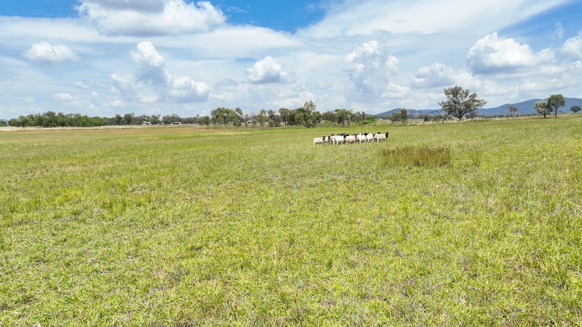 Lot 51 Duri-Winton Road, Tamworth, NSW, 2340 - Image 5
