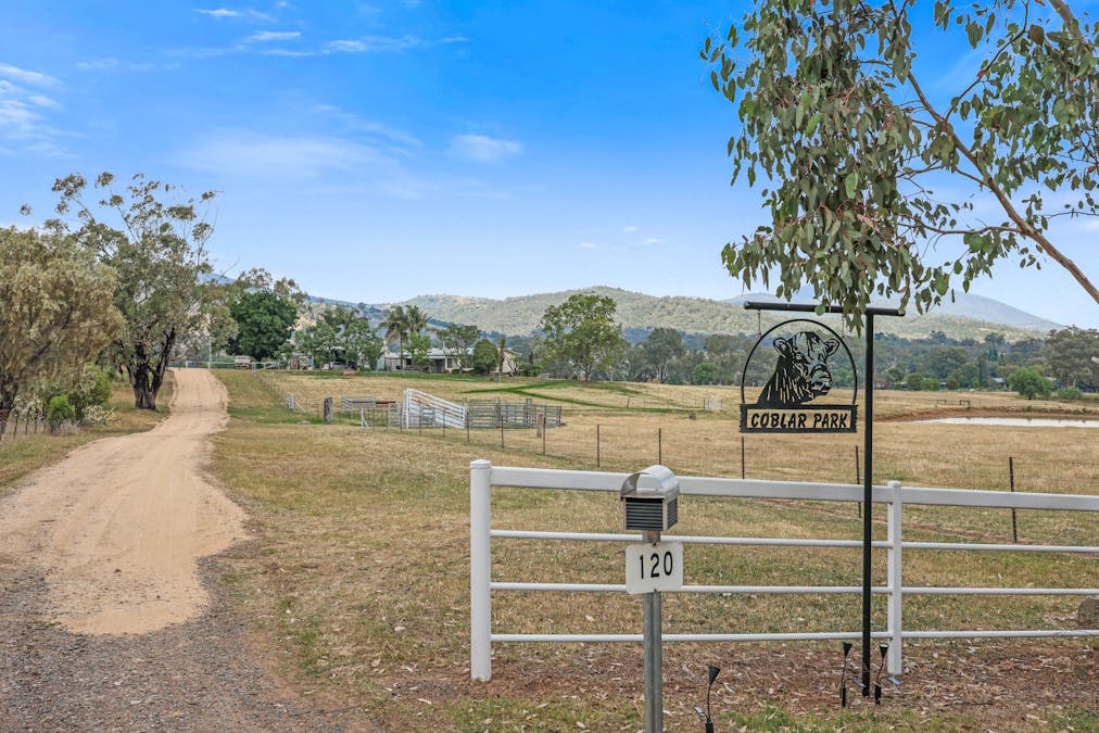 120 Mount Cobla Road, Currabubula, NSW, 2342 - Image 1