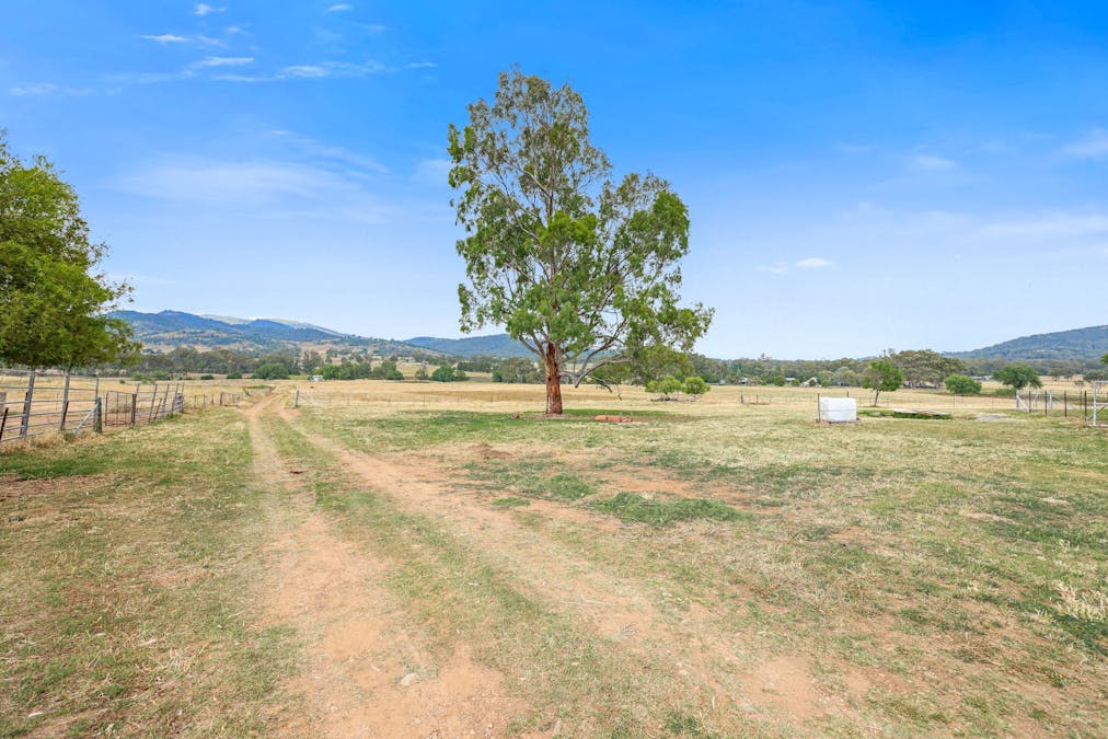 120 Mount Cobla Road, Currabubula, NSW, 2342 - Image 10