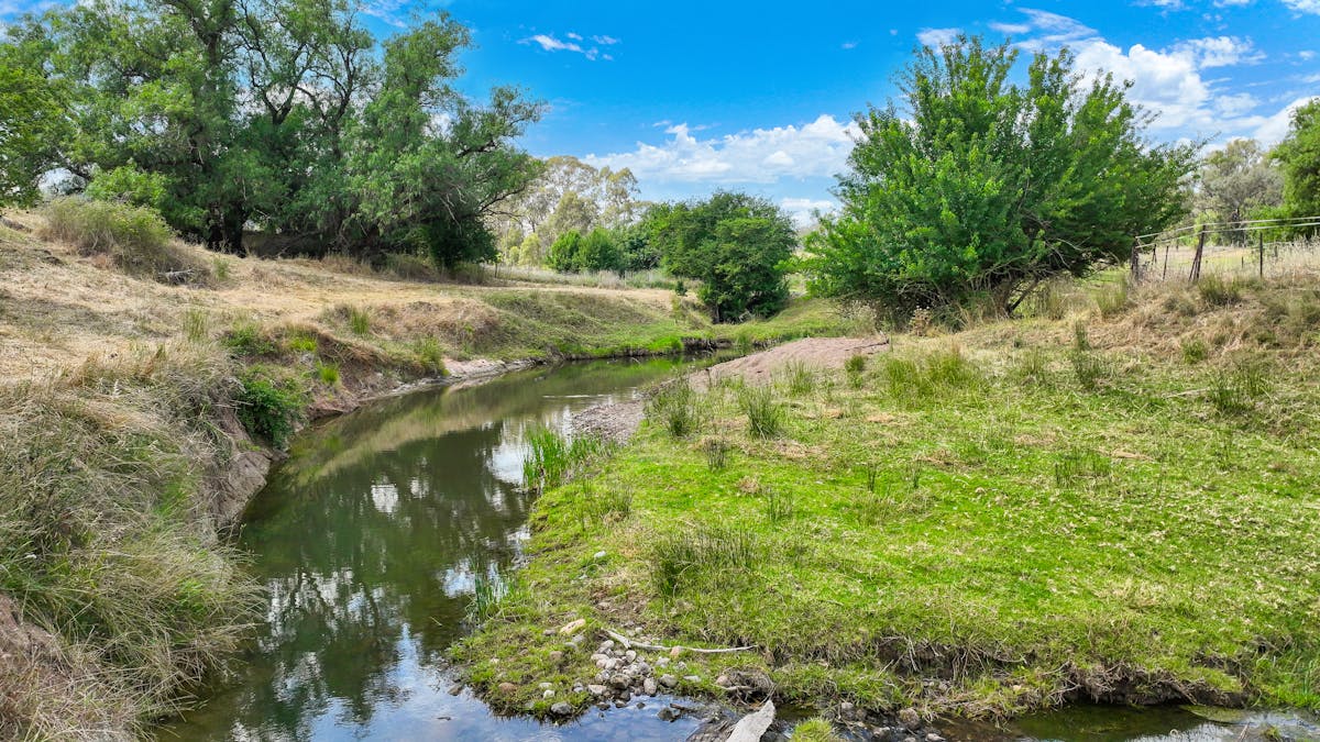 120 Mount Cobla Road, Currabubula, NSW, 2342 - Image 16