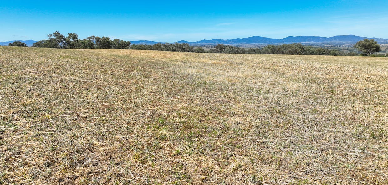 1193 Marsden Park Road, Tamworth, NSW, 2340 - Image 8