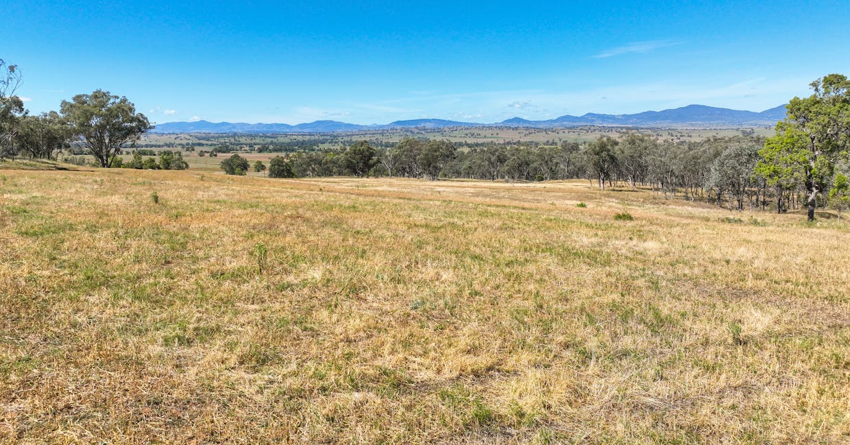 1193 Marsden Park Road, Tamworth, NSW, 2340 - Image 14