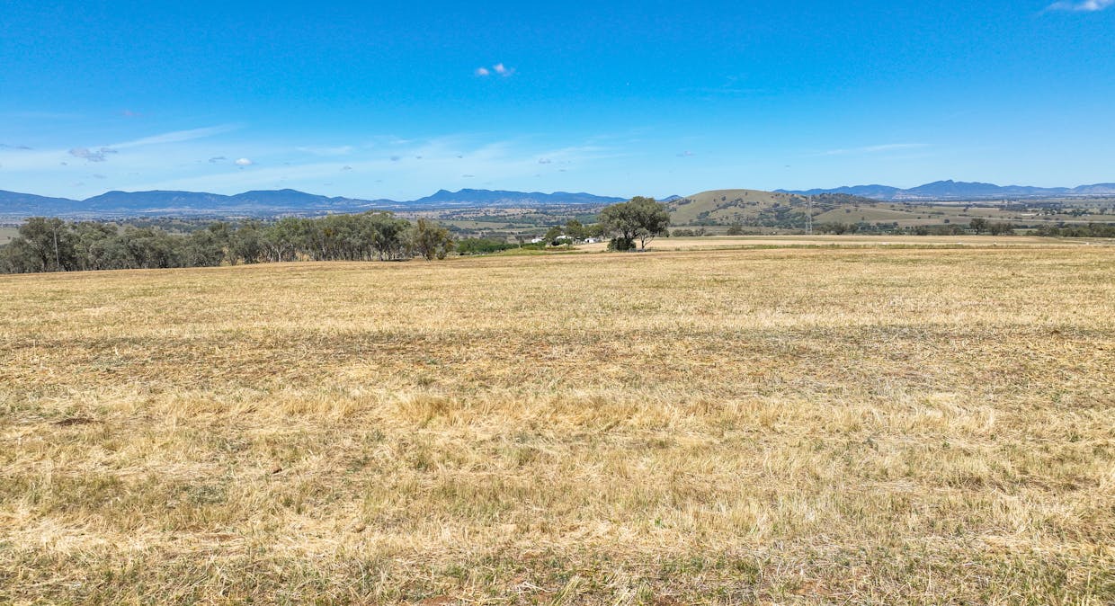 1193 Marsden Park Road, Tamworth, NSW, 2340 - Image 15