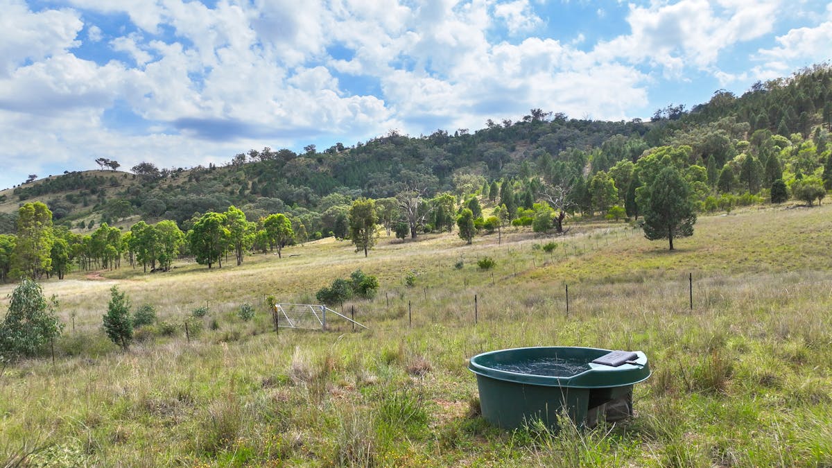 103 Kilmarnock Road, Tamworth, NSW, 2340 - Image 14