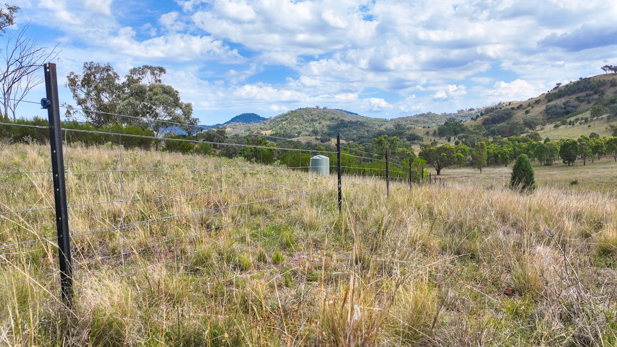 103 Kilmarnock Road, Tamworth, NSW, 2340 - Image 15