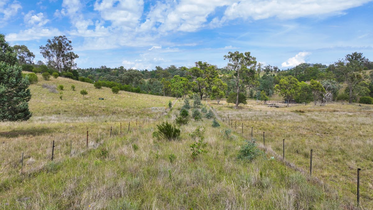 103 Kilmarnock Road, Tamworth, NSW, 2340 - Image 16