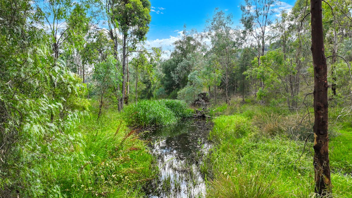 103 Kilmarnock Road, Tamworth, NSW, 2340 - Image 11