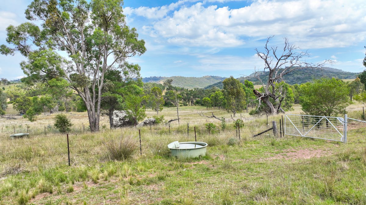 103 Kilmarnock Road, Tamworth, NSW, 2340 - Image 13