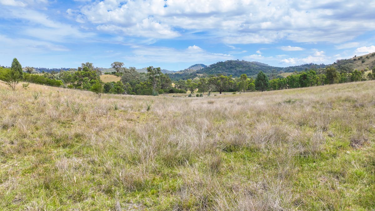 103 Kilmarnock Road, Tamworth, NSW, 2340 - Image 18