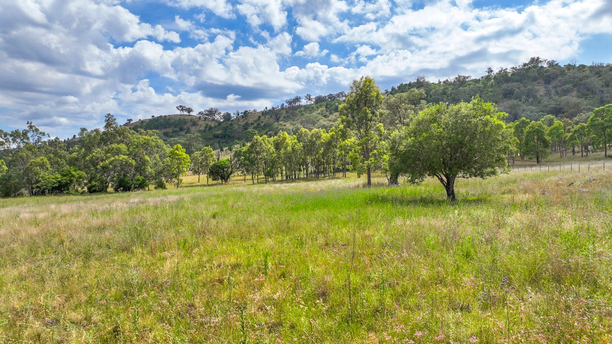 103 Kilmarnock Road, Tamworth, NSW, 2340 - Image 12