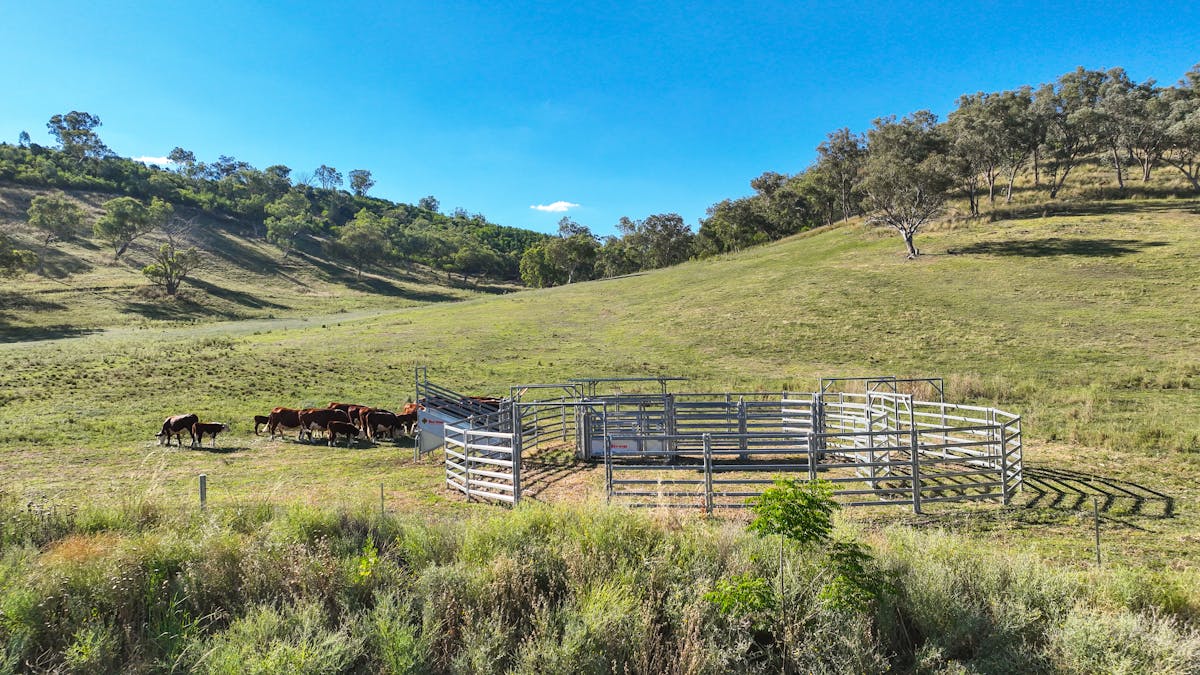 1052 Nundle Road, Tamworth, NSW, 2340 - Image 20