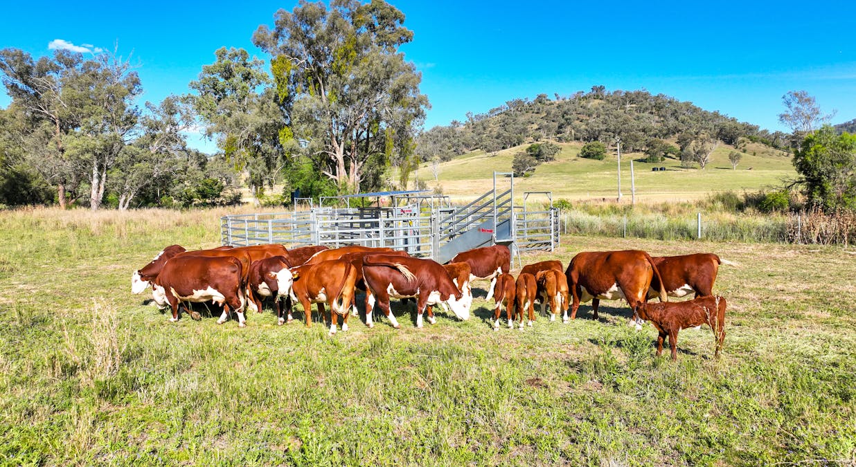 1052 Nundle Road, Tamworth, NSW, 2340 - Image 5