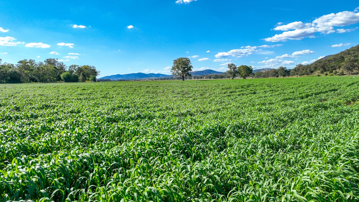 1052 Nundle Road, Tamworth, NSW, 2340 - Image 24