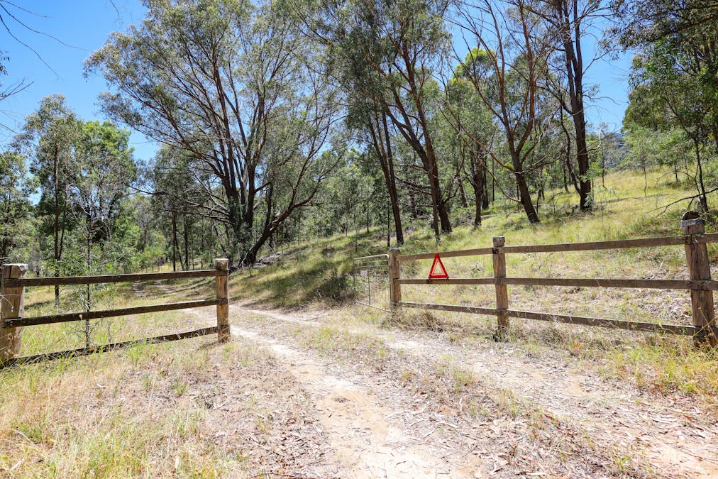 1483 Duncans Creek Road, Woolomin, NSW, 2340 - Image 4