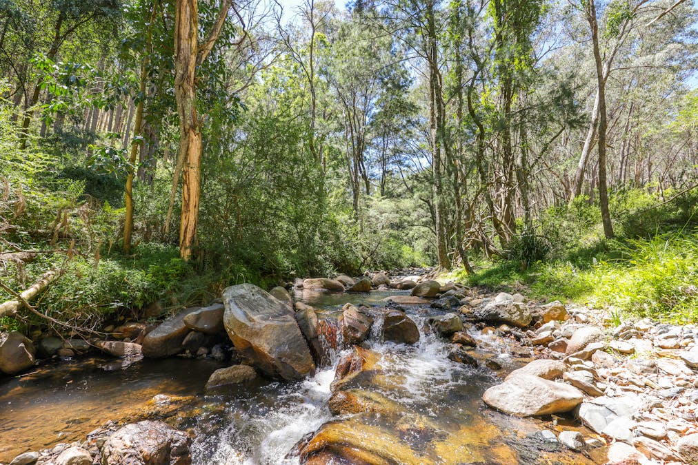 1483 Duncans Creek Road, Woolomin, NSW, 2340 - Image 5