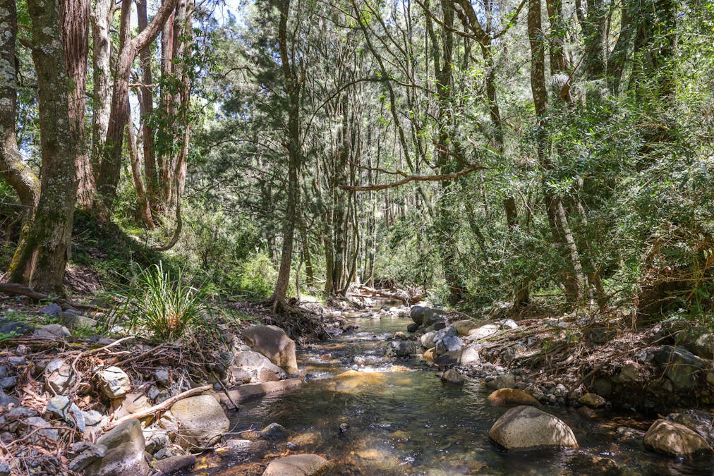 1483 Duncans Creek Road, Woolomin, NSW, 2340 - Image 6