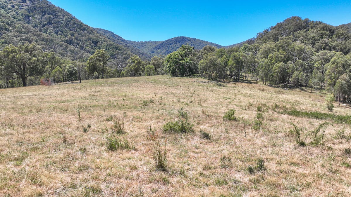 1483 Duncans Creek Road, Woolomin, NSW, 2340 - Image 10