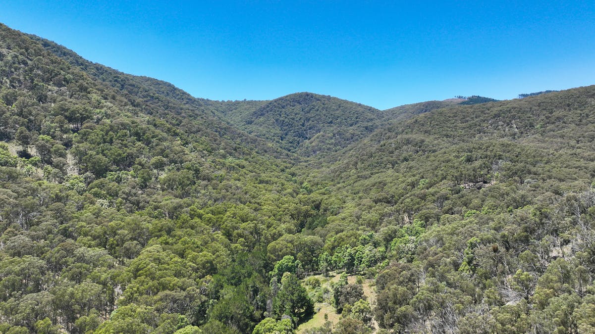 1483 Duncans Creek Road, Woolomin, NSW, 2340 - Image 11