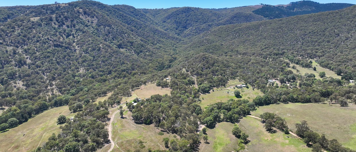 1483 Duncans Creek Road, Woolomin, NSW, 2340 - Image 12