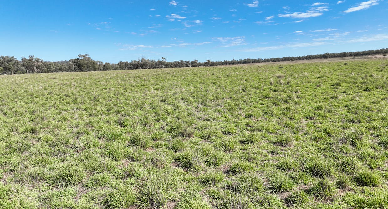 1070 Top Somerton Road, Attunga, NSW, 2345 - Image 18