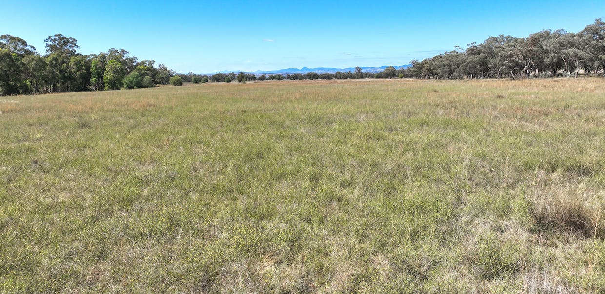 1070 Top Somerton Road, Attunga, NSW, 2345 - Image 19