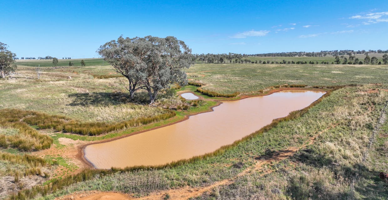 948 New Winton Road, Tamworth, NSW, 2340 - Image 21