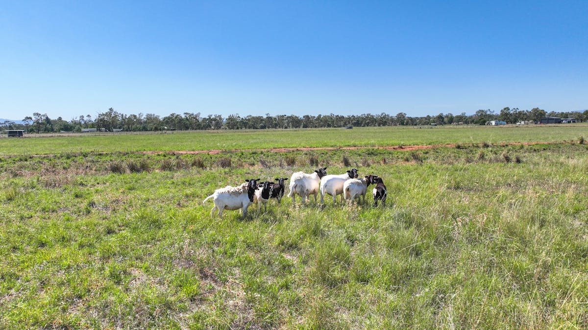 948 New Winton Road, Tamworth, NSW, 2340 - Image 23