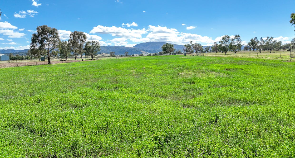 1450 Manilla Road, Tamworth, NSW, 2340 - Image 9