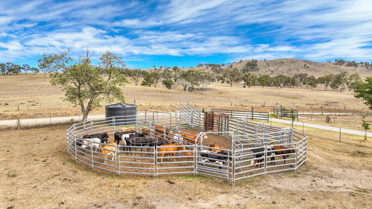 6953 Halls Creek Road, Bendemeer, NSW, 2355 - Image 22