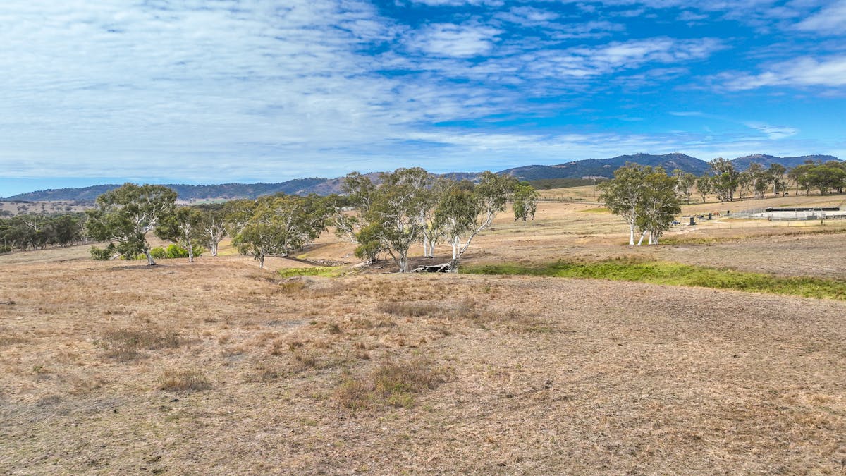 6953 Halls Creek Road, Bendemeer, NSW, 2355 - Image 20