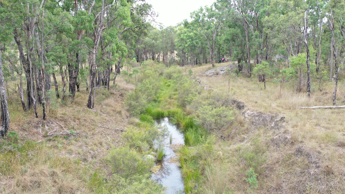 631 Glenelg Road, Bundarra, NSW, 2359 - Image 4