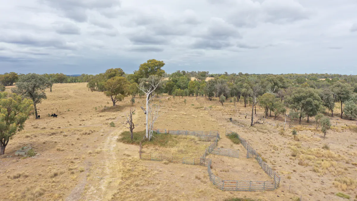 631 Glenelg Road, Bundarra, NSW, 2359 - Image 7