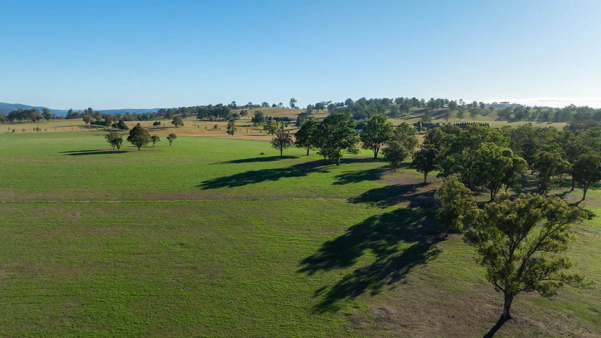 700 Oaklands Road Yarrowitch Valley Via, Walcha, NSW, 2354 - Image 23