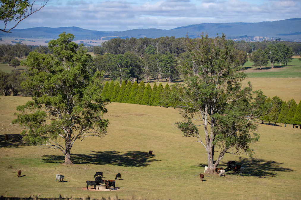 700 Oaklands Road Yarrowitch Valley Via, Walcha, NSW, 2354 - Image 26