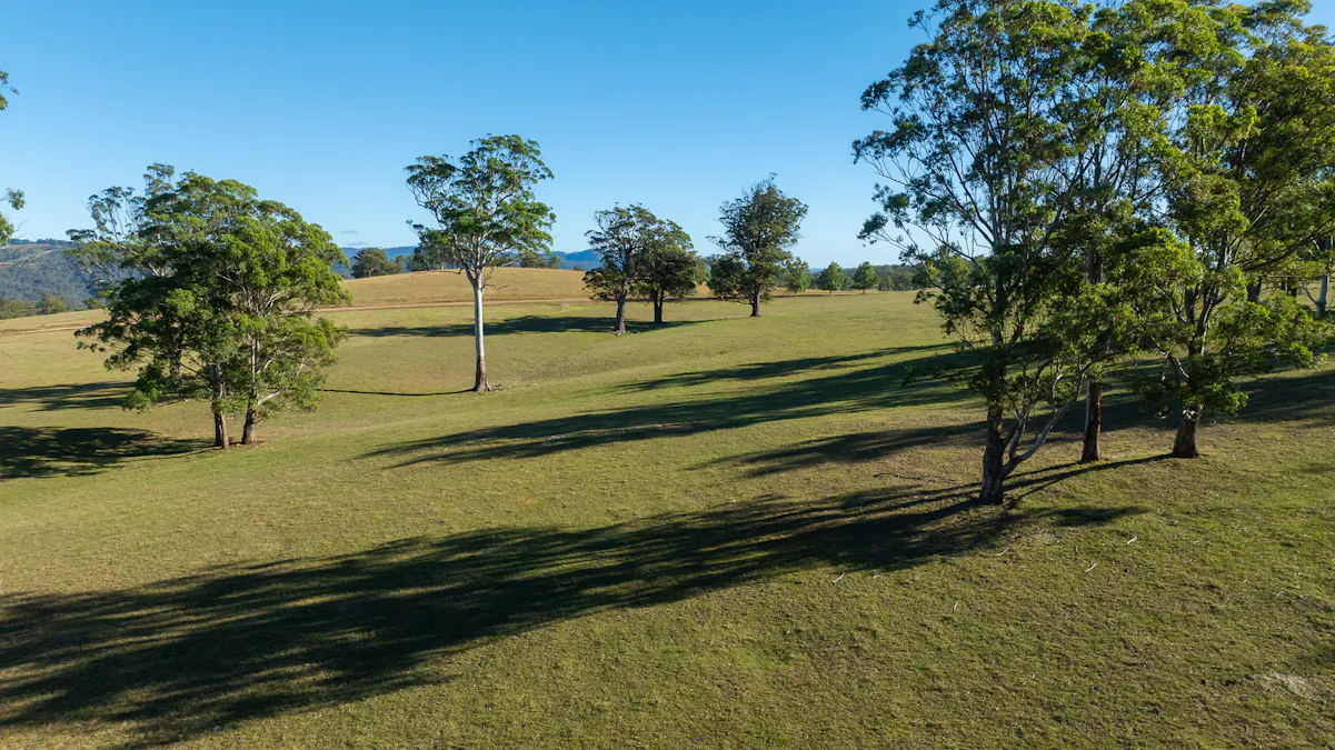 700 Oaklands Road Yarrowitch Valley Via, Walcha, NSW, 2354 - Image 32