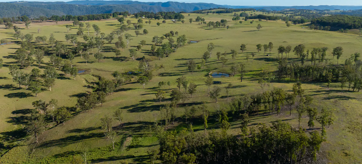 700 Oaklands Road Yarrowitch Valley Via, Walcha, NSW, 2354 - Image 34