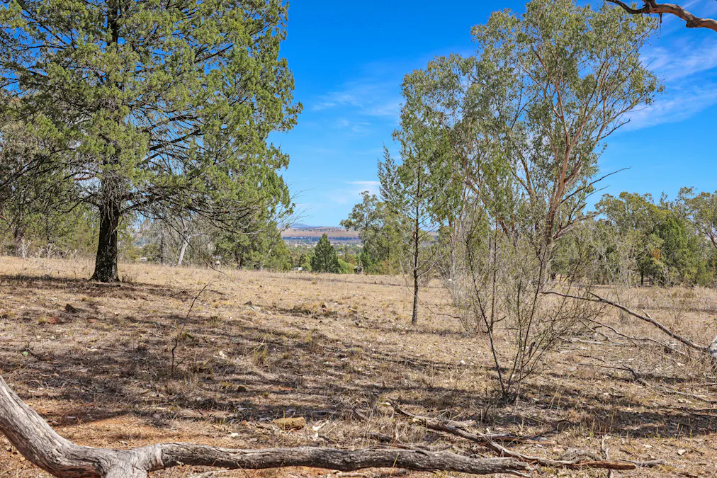 55 The Albens Drive, Tamworth, NSW, 2340 - Image 21