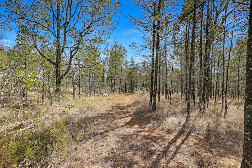 55 The Albens Drive, Tamworth, NSW, 2340 - Image 22