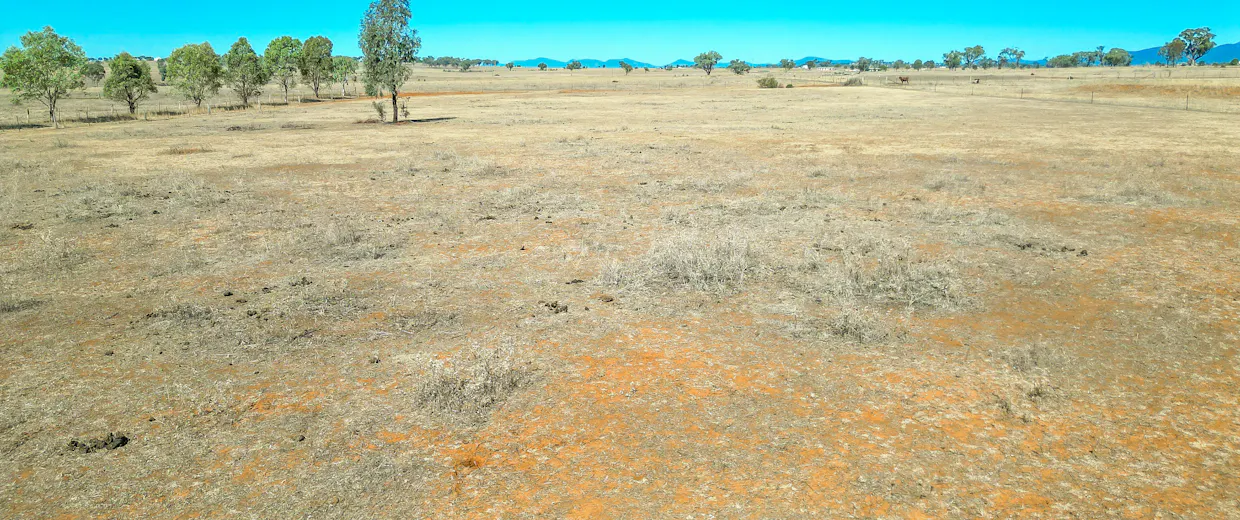 161 New Winton Road, Tamworth, NSW, 2340 - Image 6