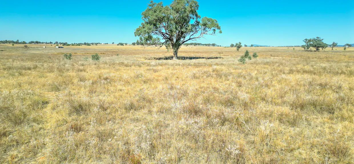 123 New Winton Road, Tamworth, NSW, 2340 - Image 17