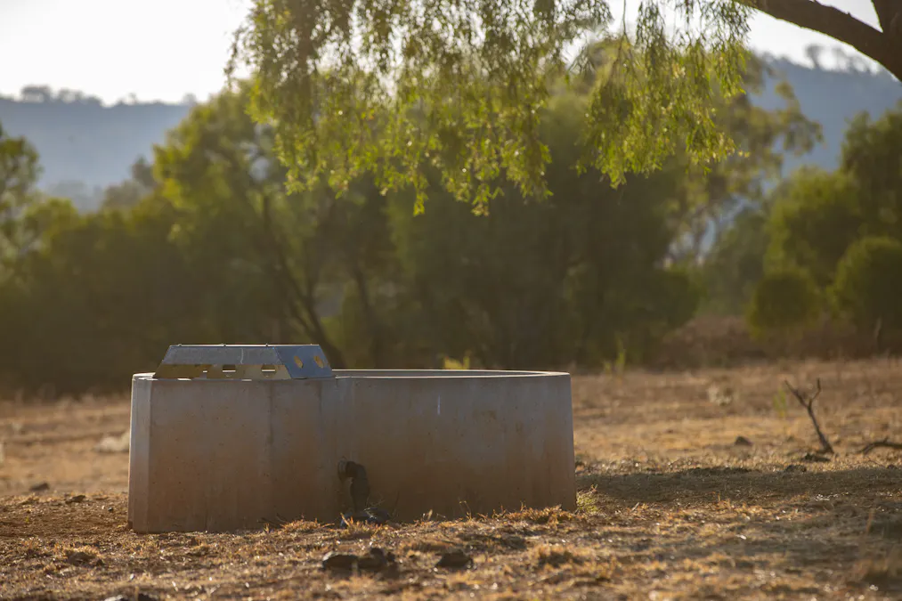 823 Eulourie Road, Bingara, NSW, 2404 - Image 11