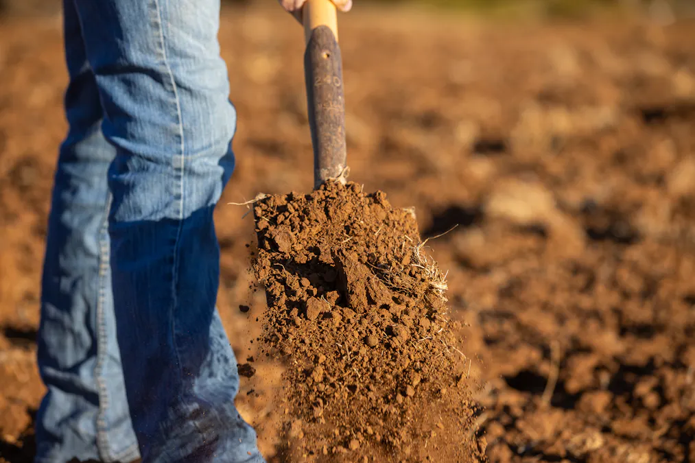 823 Eulourie Road, Bingara, NSW, 2404 - Image 12