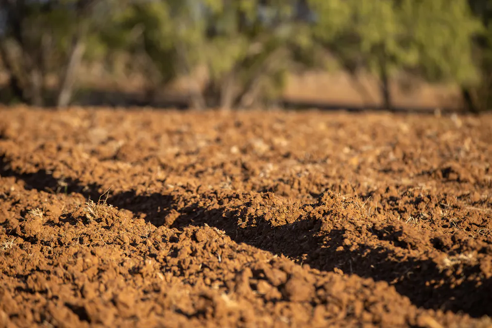 823 Eulourie Road, Bingara, NSW, 2404 - Image 13