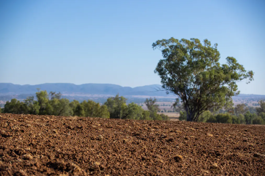 823 Eulourie Road, Bingara, NSW, 2404 - Image 21