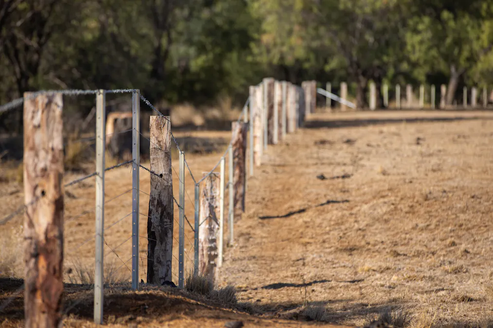 823 Eulourie Road, Bingara, NSW, 2404 - Image 27