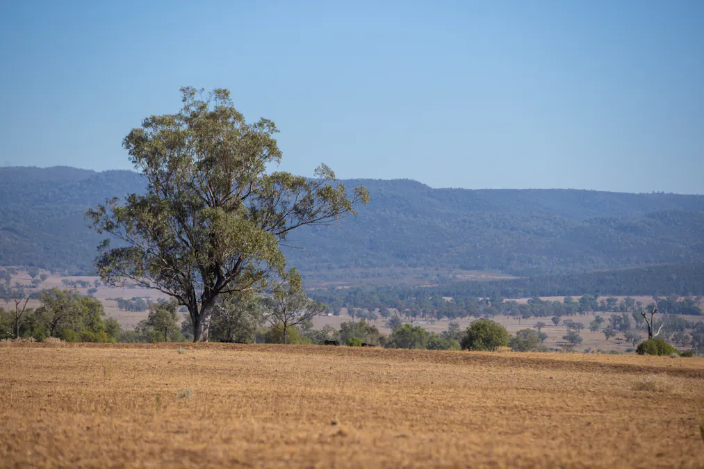 823 Eulourie Road, Bingara, NSW, 2404 - Image 24