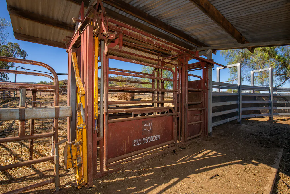 823 Eulourie Road, Bingara, NSW, 2404 - Image 29